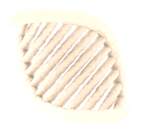 adn